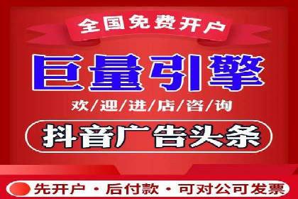 某电商平台的SEM策略与效果展示